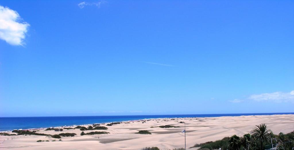 Apartamentos Patricio Playa del Inglés Exterior foto